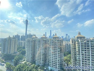 深圳独特的高品质茶叶资源